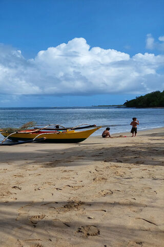 Serenity by the Shore 🌊☀️