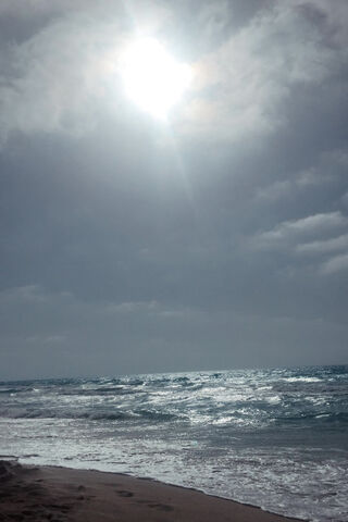 Serenity at North Coast: A Tranquil Escape 🌊☀️