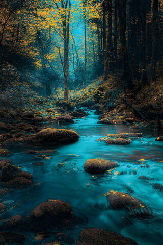 Mystical Waters of the Blue River 🌊✨