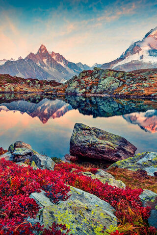 Vibrant Serenity: Nature's Canvas 🎨🏞️