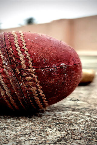 The Heart of the Game: A Cricket Ball's Journey 🏏