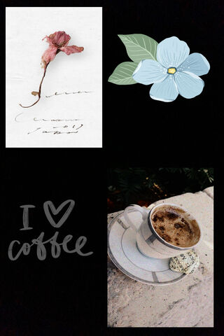 Coffee Moments: A Sip of Serenity ☕🌸