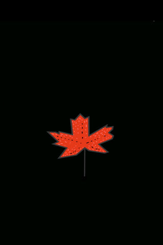 Autumn's Emblem: The Canada Maple Leaf 🍁