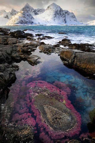 Serenity at the Coast: Nature's Palette 🌊🏔️