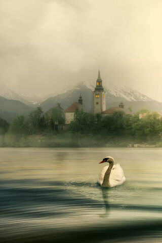 Serenity at Dawn 🌅