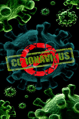 The Invisible Enemy: Understanding Coronavirus 🦠