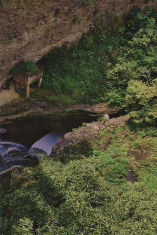 Nature's Serenity 🌿💧