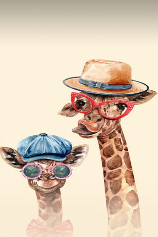 Cool Giraffe