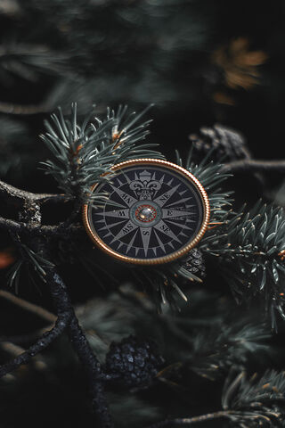 Guiding Light: The Compass of Adventure 🧭✨