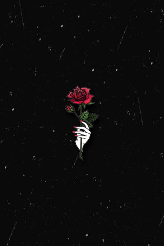 Cicek: The Elegance of a Rose 🌹✨