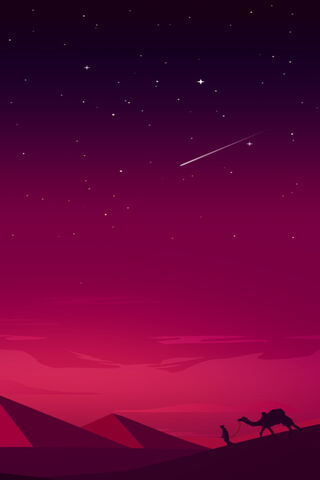 Starlit Journey: The Camel's Night Adventure 🌌🐪