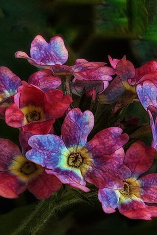 Blossoms of Vibrant Dreams 🌸✨