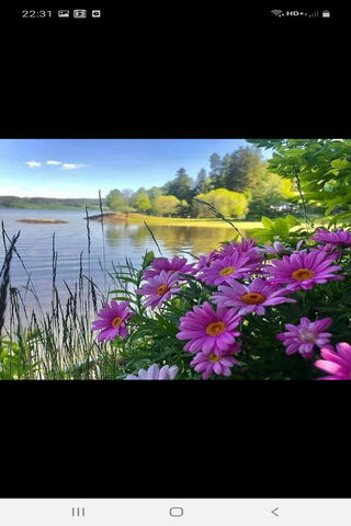 Cicek: A Blooming Serenity by the Water 🌸🌊
