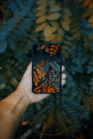 Nature's Reflection: A Digital Capture 🌿📱