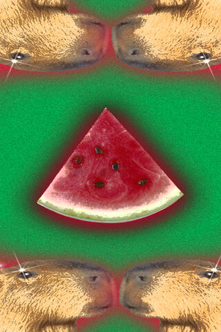 Capybara's Watermelon Delight 🍉