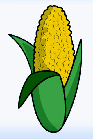 Golden Harvest: The Joy of Corn 🌽✨