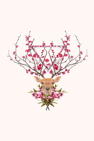 Deer With Flowers
