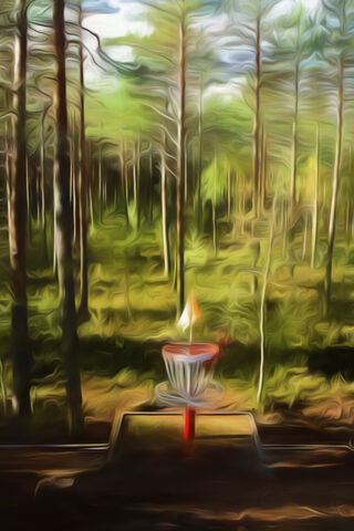 Enchanted Disc Golf Haven 🌲🏌️