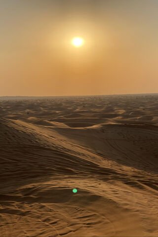 Golden Sands of Desierto 🌅