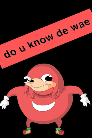 Do U Know De Wae