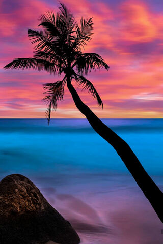 Tropical Twilight: A Dance of Colors 🌅🌴