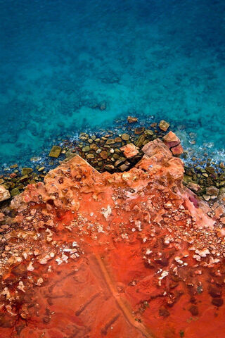 Nature's Palette: The V..