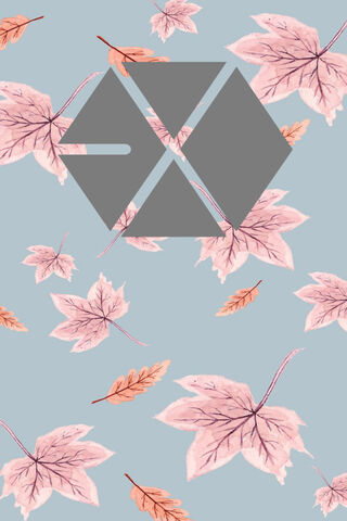 Autumn Vibes with EXO 🍂✨