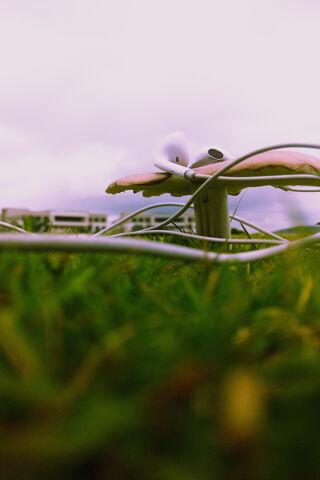 Nature's Soundscape: Earphones in the Wild 🎧🌿