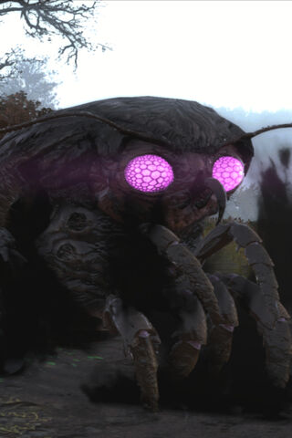 The Mysterious Mothman of Fallout 76 🦋✨