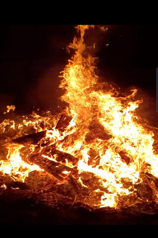 Dancing Flames: The Heart of the Fire