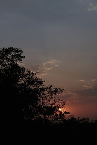 Sunset Fireball: Nature's Fiery Canvas 🌅🔥