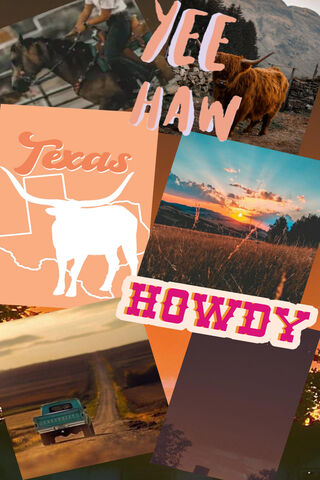Texas Spirit: A Journey Through the Lone Star State 🌵✨