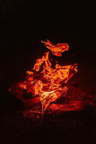 Dancing Flames: The Heart of the Fire 🔥