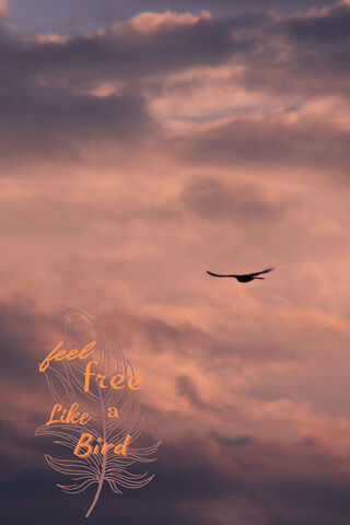 Soar into Freedom 🌅🕊️
