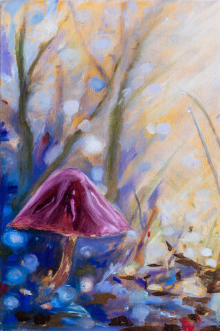Enchanted Forest Fungi 🌲🍄