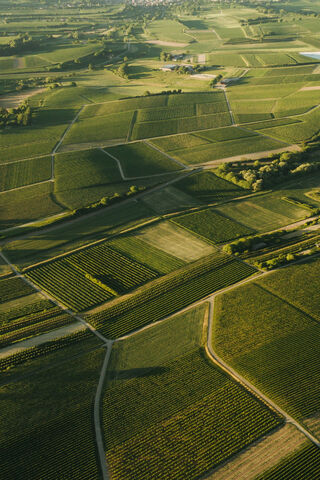 Endless Green: A Tapestry of Fields 🌿