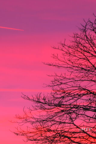 Autumn's Embrace 🌅🍂