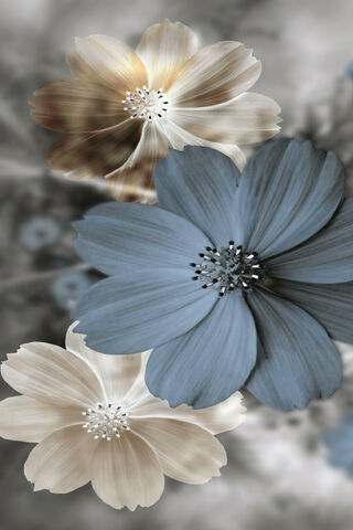 Whispers of Nature: A F..