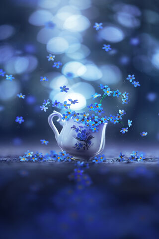 Whispers of Remembrance..