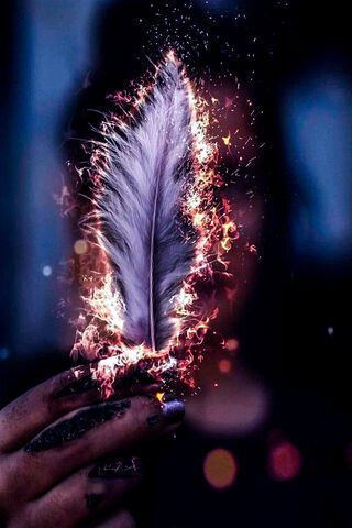 Ignite Your Imagination: The Fire Feather