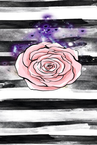 Blossoms of Affection 🌹✨