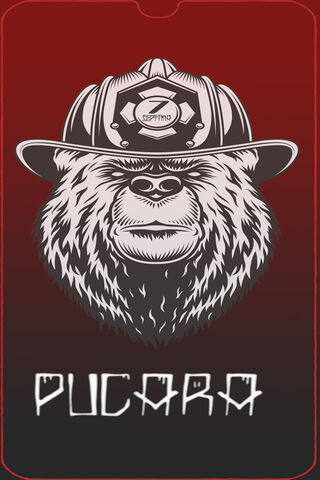 Brave Bear: The Firefighter's Spirit 🐻🔥