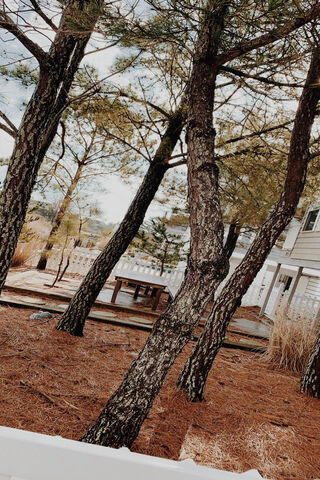 Nature's Embrace: A Serene Retreat