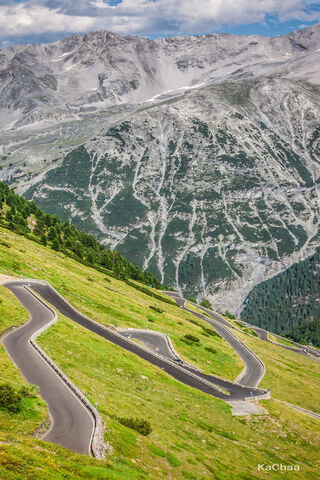 Winding Paths Through Nature's Embrace 🌿🏞️