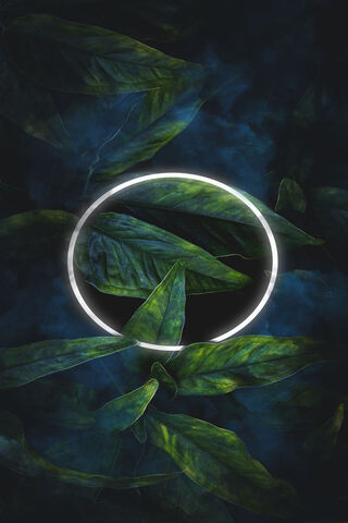 Green Leaves