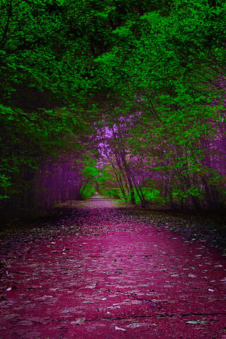 Mystical Pathway: A Journey Through Green and Red 🌳🔮