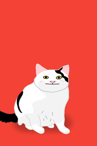 Cute Cat Wallpaper Images  Free Download on Freepik
