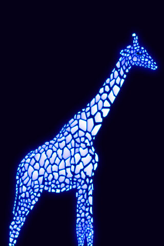 Glowing Grace: The Giraffe in Neon