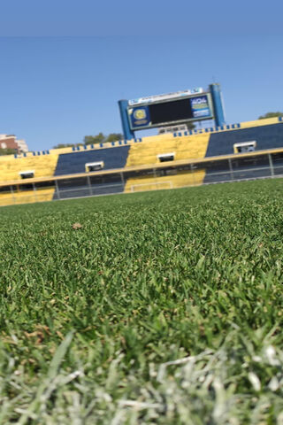 The Heart of Rosario: Gigante De Arroyito