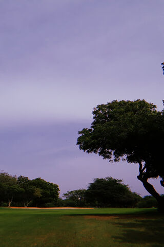 Serene Greens of Greenland 🌳🌿